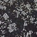 A flat sample of wisteria stretch lace sequin in the color black.