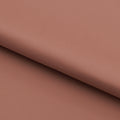 #color_fawn