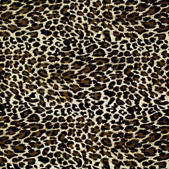 A flat sample of dangerous leopard printed spandex.