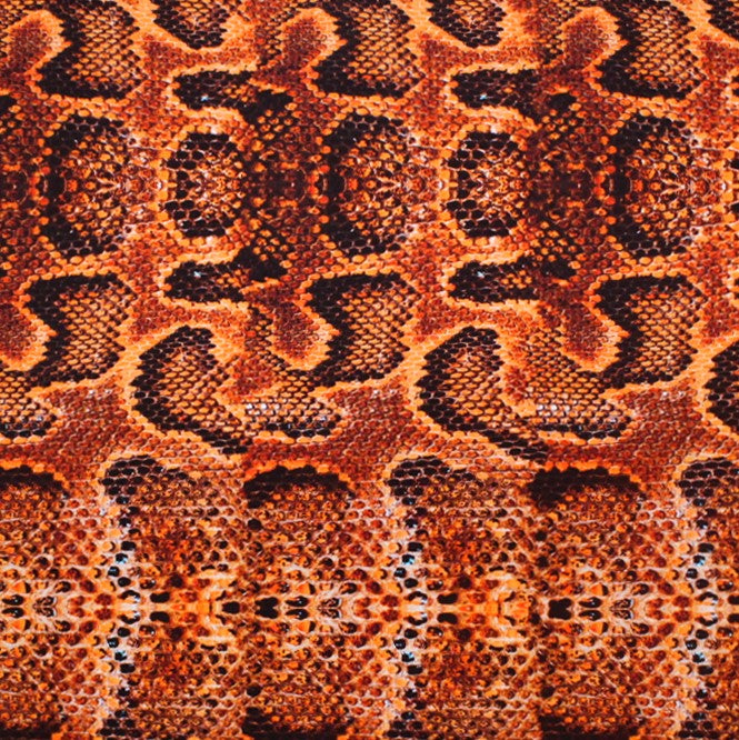 A flat sample of Colombian boa printed spandex.