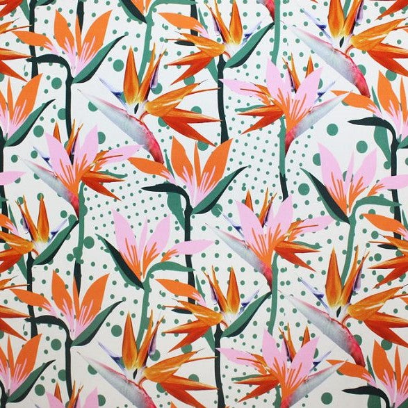 A flat sample of dotted birds of paradise printed spandex.
