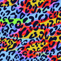 A flat sample of Funky Heatwave Leopard Printed Spandex Fabric in Multi Color