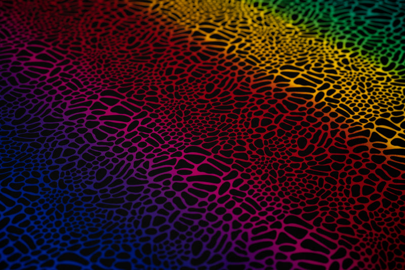 A flat sample of Multicolor Safari Spots Printed Spandex 