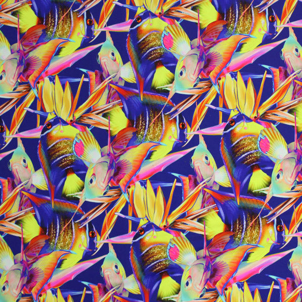 A flat sample of Tropical Fish Birds of Paradise Printed Spandex.