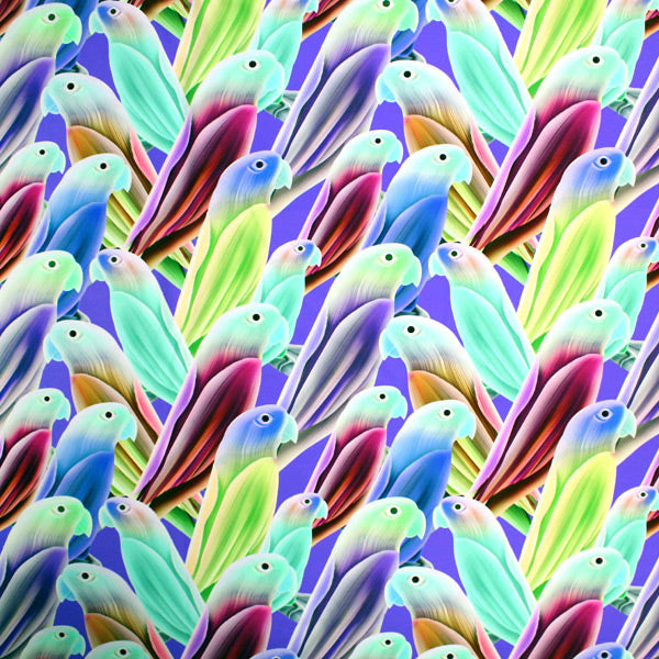 A flat sample of Parakeet Multi Color Printed Spandex.
