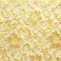 A flat sample of nadia scalloped stretch lace in the color natural.