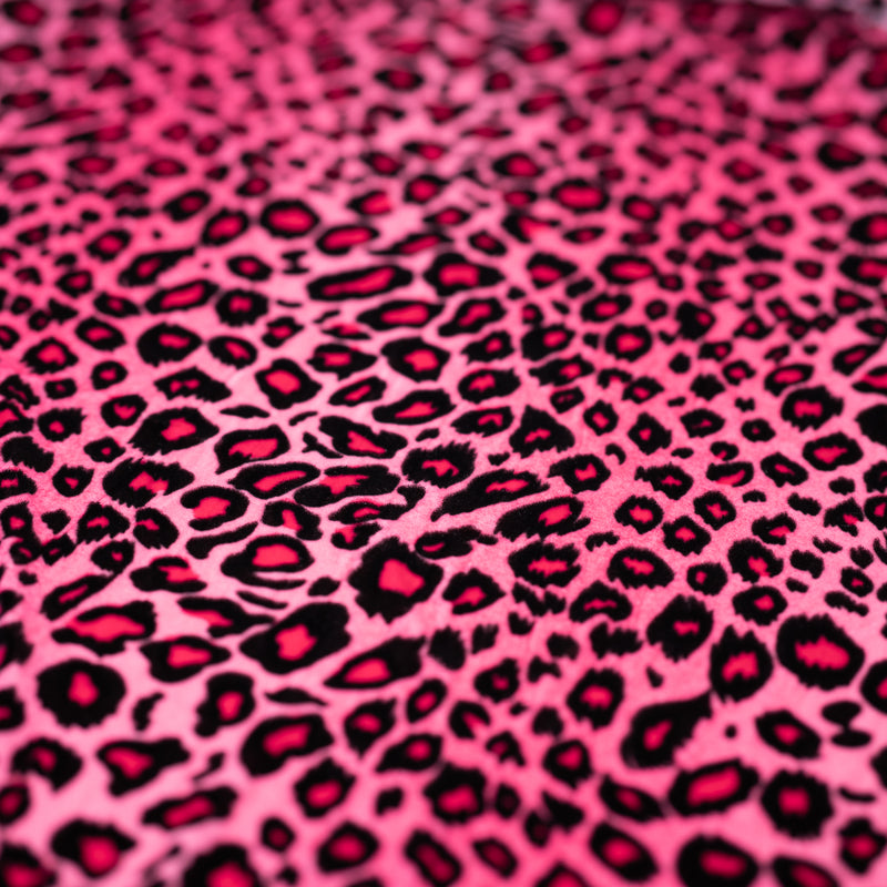 Detailed shot of Pug Leopard Stretch Velvet in color Pink/Black