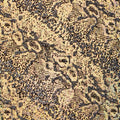 A flat sample of shakira shattered glass foiled spandex in the color gold.