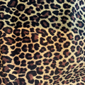 A flat sample of safari printed stretch velvet in the cheetah print.